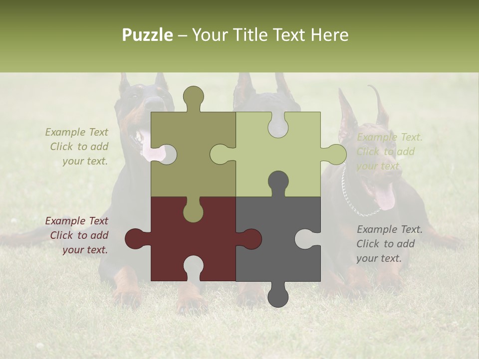 A Group Of Three Dogs Laying On Top Of A Grass Covered Field PowerPoint Template