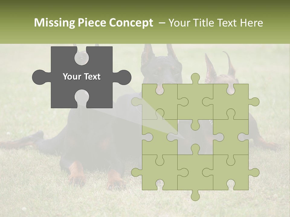 A Group Of Three Dogs Laying On Top Of A Grass Covered Field PowerPoint Template