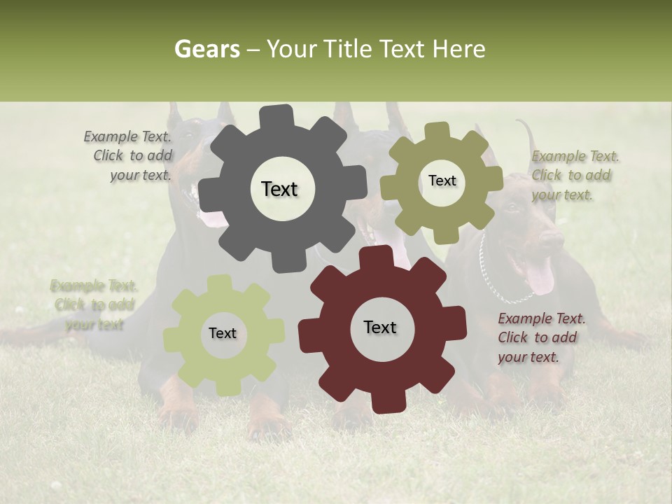 A Group Of Three Dogs Laying On Top Of A Grass Covered Field PowerPoint Template