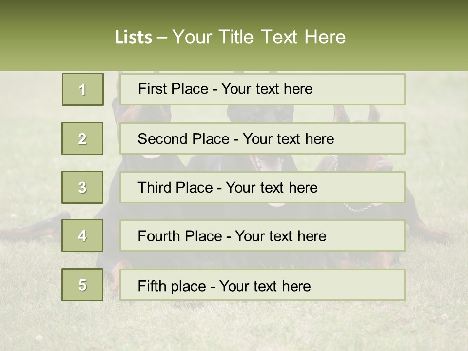A Group Of Three Dogs Laying On Top Of A Grass Covered Field PowerPoint Template