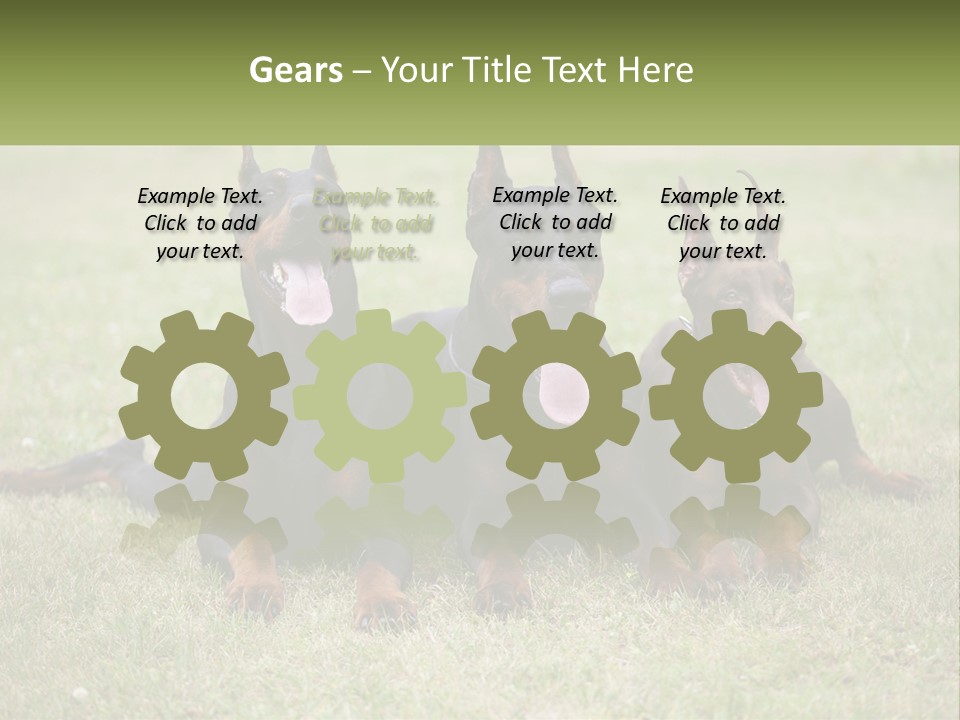 A Group Of Three Dogs Laying On Top Of A Grass Covered Field PowerPoint Template