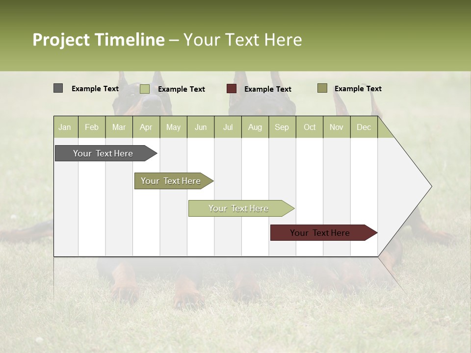 A Group Of Three Dogs Laying On Top Of A Grass Covered Field PowerPoint Template