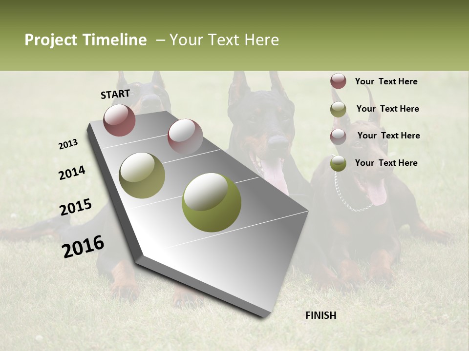 A Group Of Three Dogs Laying On Top Of A Grass Covered Field PowerPoint Template