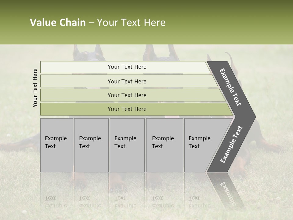 A Group Of Three Dogs Laying On Top Of A Grass Covered Field PowerPoint Template
