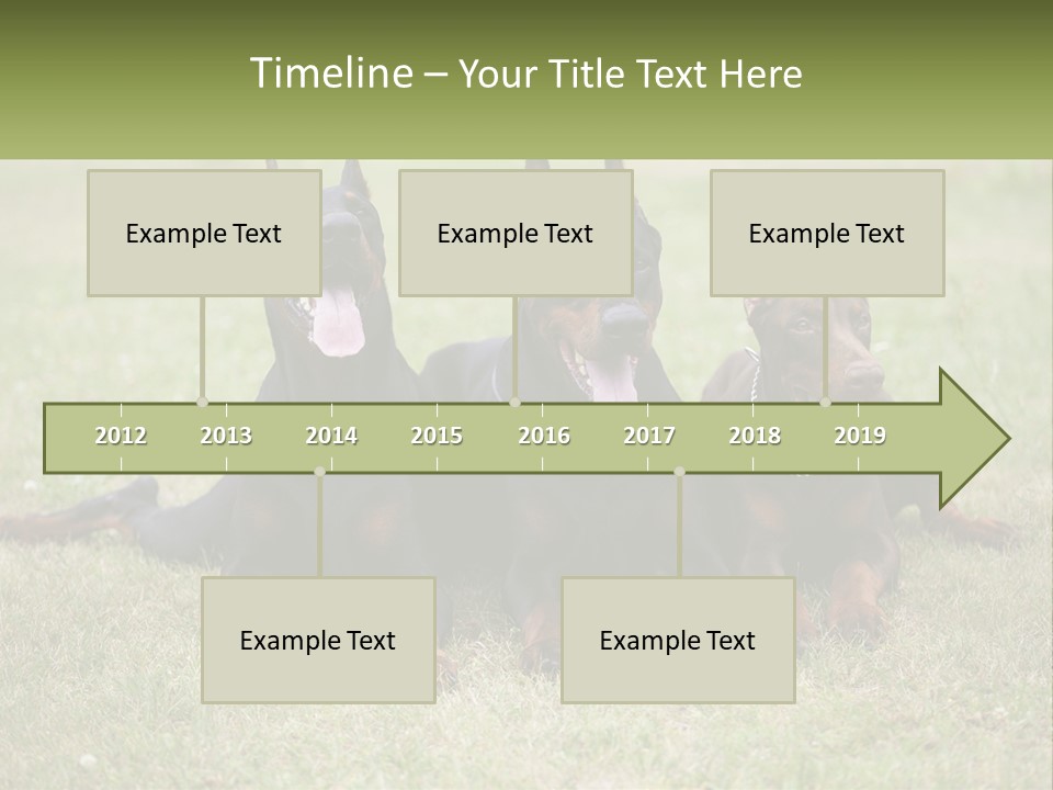 A Group Of Three Dogs Laying On Top Of A Grass Covered Field PowerPoint Template