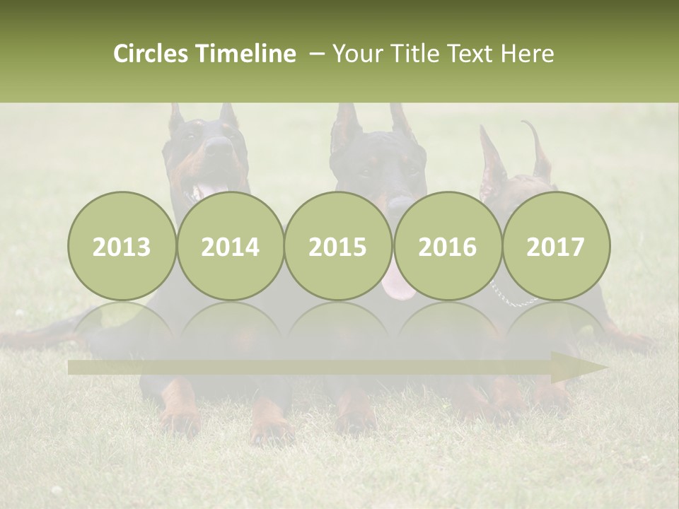 A Group Of Three Dogs Laying On Top Of A Grass Covered Field PowerPoint Template