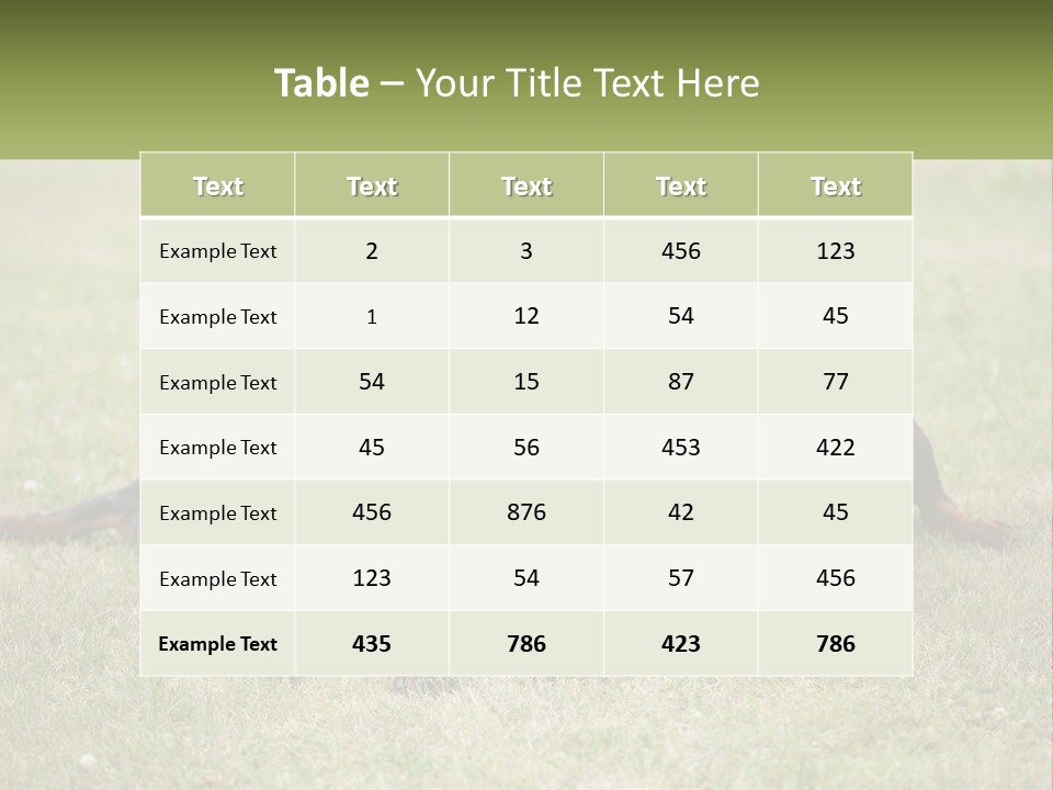 A Group Of Three Dogs Laying On Top Of A Grass Covered Field PowerPoint Template