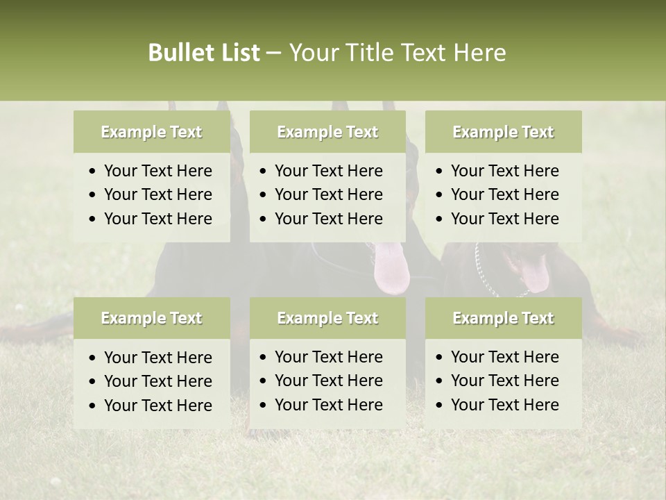A Group Of Three Dogs Laying On Top Of A Grass Covered Field PowerPoint Template