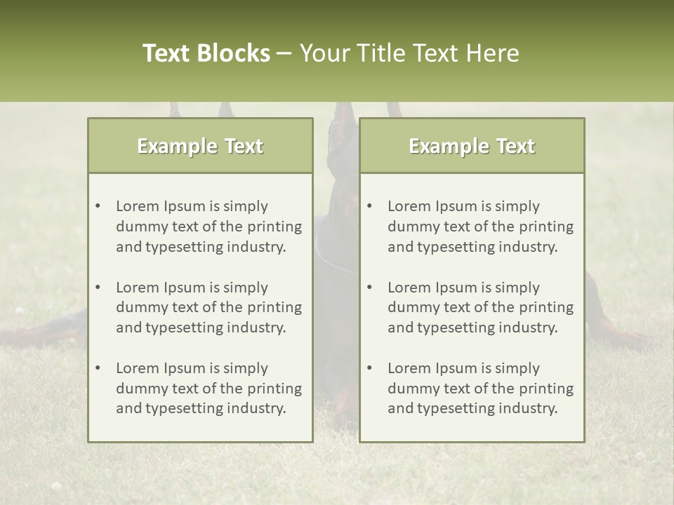 A Group Of Three Dogs Laying On Top Of A Grass Covered Field PowerPoint Template