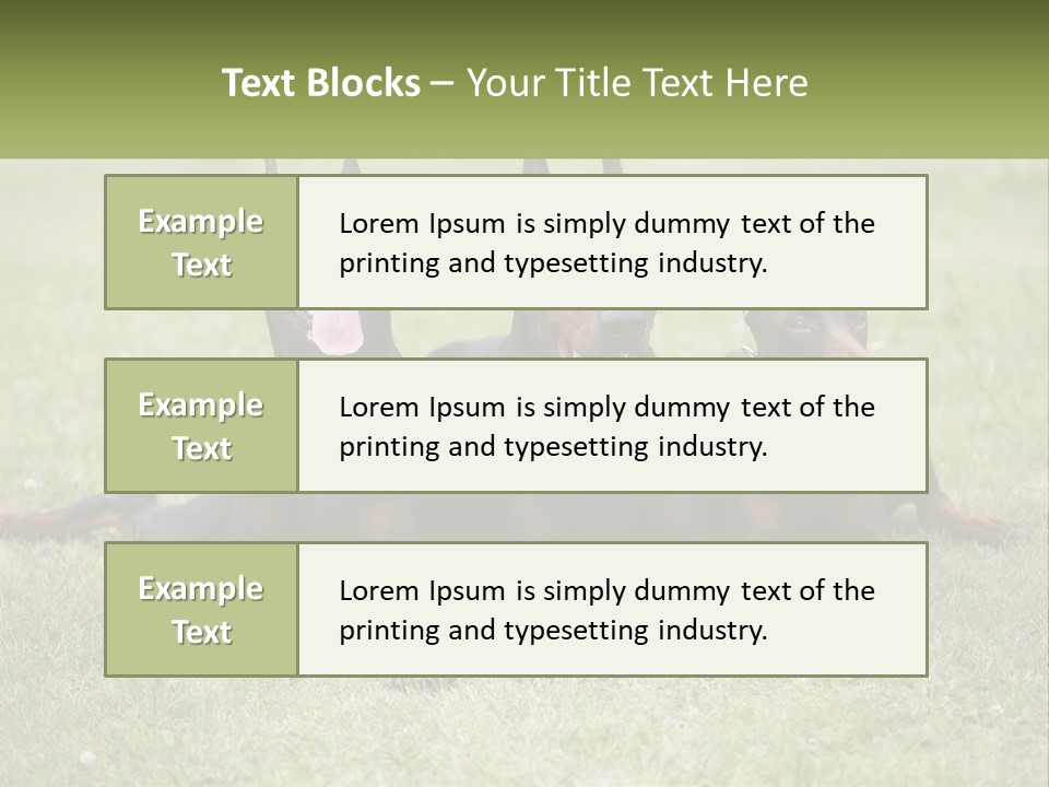 A Group Of Three Dogs Laying On Top Of A Grass Covered Field PowerPoint Template