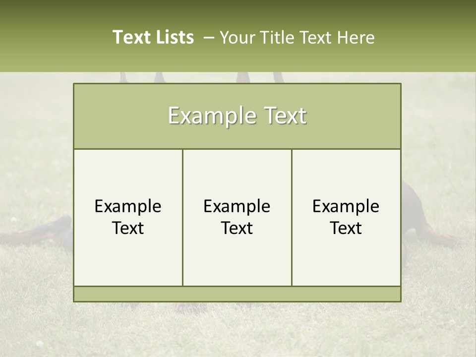 A Group Of Three Dogs Laying On Top Of A Grass Covered Field PowerPoint Template