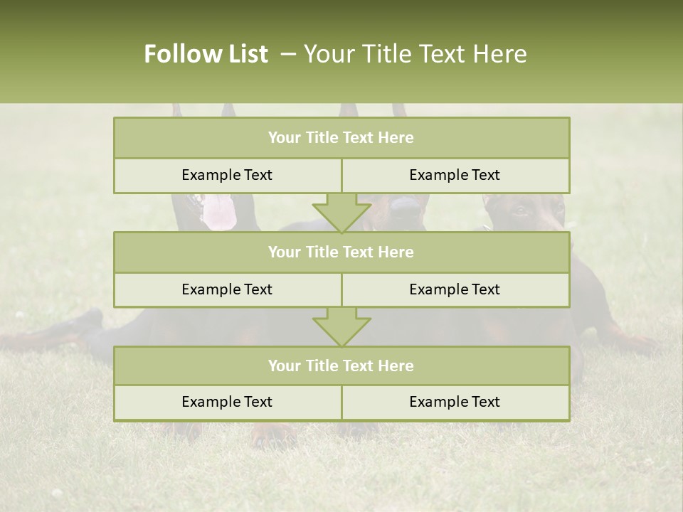 A Group Of Three Dogs Laying On Top Of A Grass Covered Field PowerPoint Template
