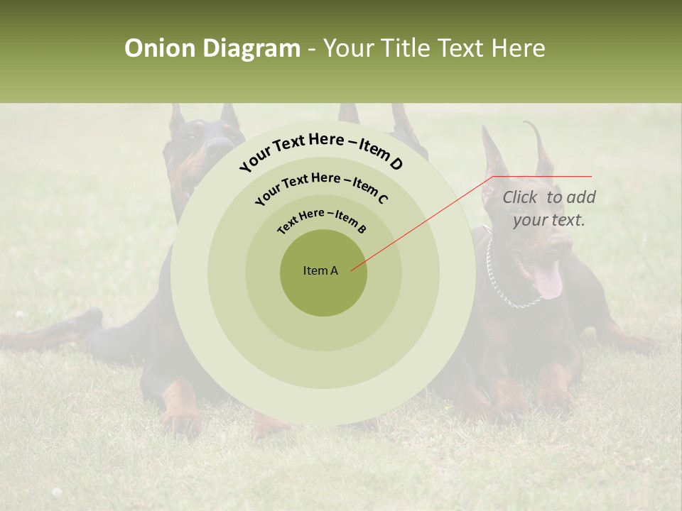 A Group Of Three Dogs Laying On Top Of A Grass Covered Field PowerPoint Template