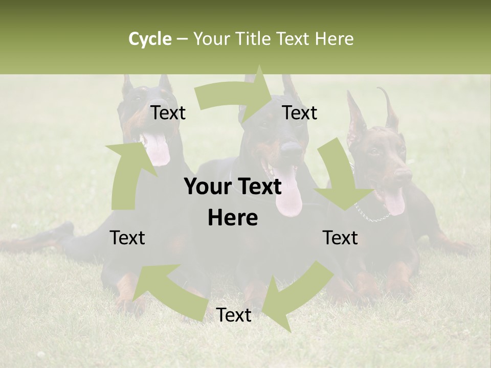 A Group Of Three Dogs Laying On Top Of A Grass Covered Field PowerPoint Template