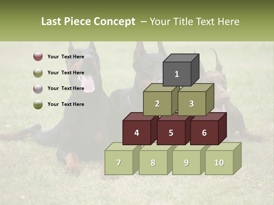 A Group Of Three Dogs Laying On Top Of A Grass Covered Field PowerPoint Template