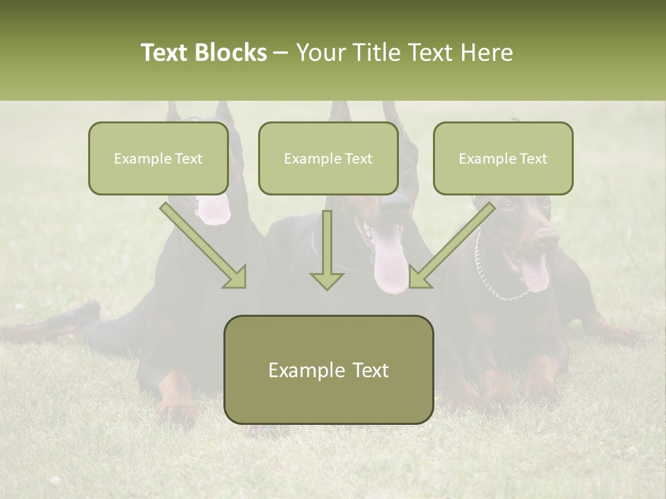 A Group Of Three Dogs Laying On Top Of A Grass Covered Field PowerPoint Template
