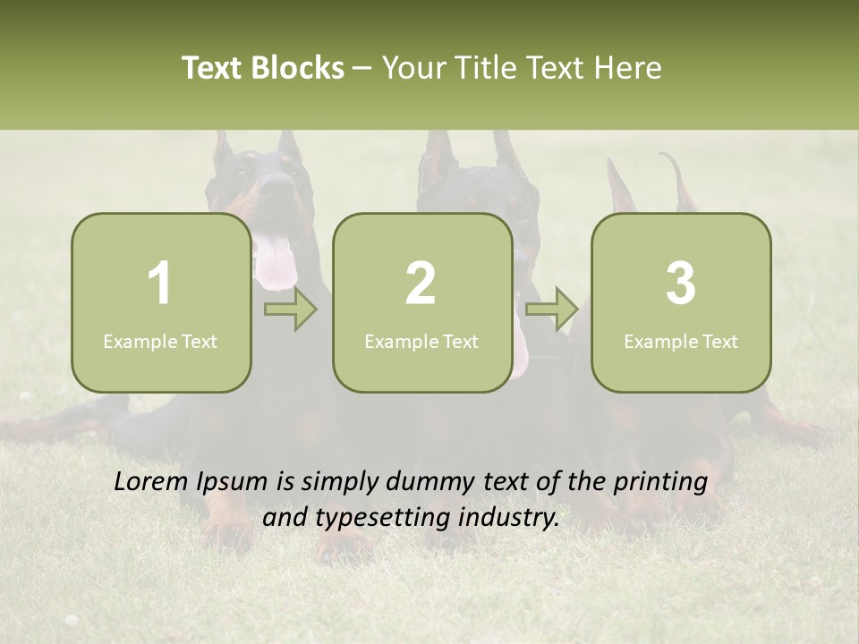 A Group Of Three Dogs Laying On Top Of A Grass Covered Field PowerPoint Template