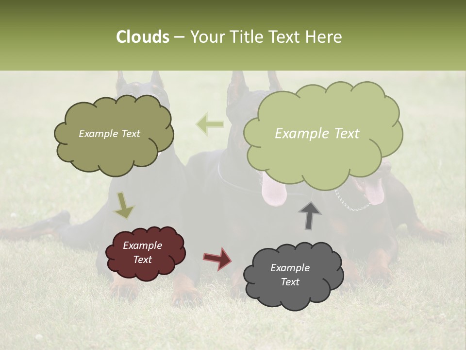 A Group Of Three Dogs Laying On Top Of A Grass Covered Field PowerPoint Template