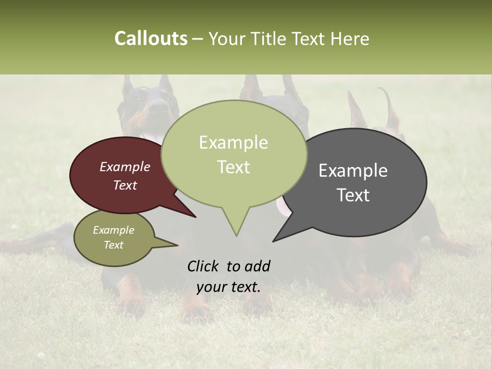 A Group Of Three Dogs Laying On Top Of A Grass Covered Field PowerPoint Template