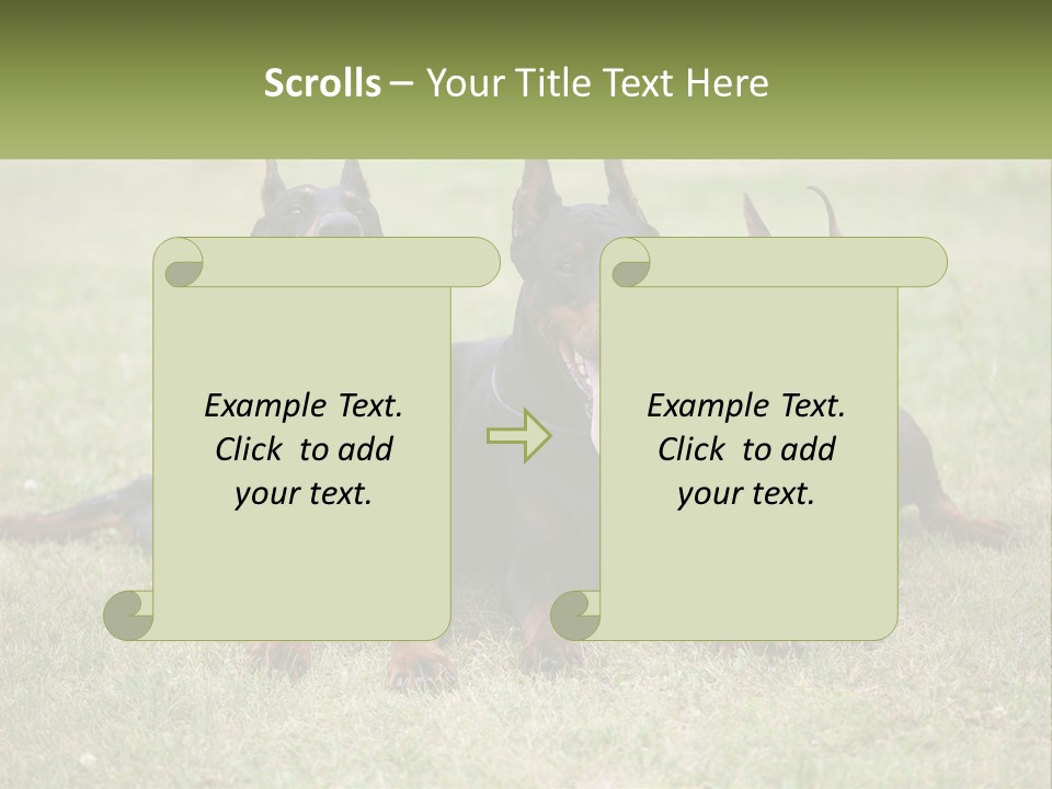 A Group Of Three Dogs Laying On Top Of A Grass Covered Field PowerPoint Template