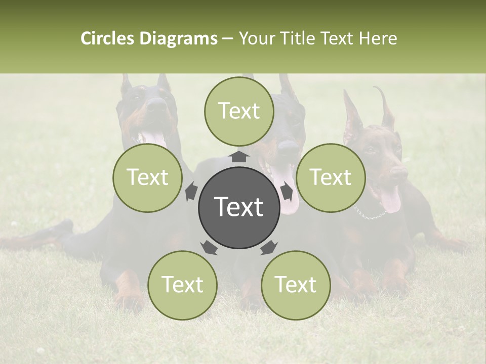 A Group Of Three Dogs Laying On Top Of A Grass Covered Field PowerPoint Template