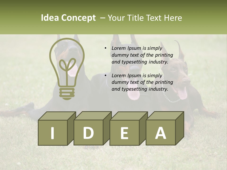 A Group Of Three Dogs Laying On Top Of A Grass Covered Field PowerPoint Template
