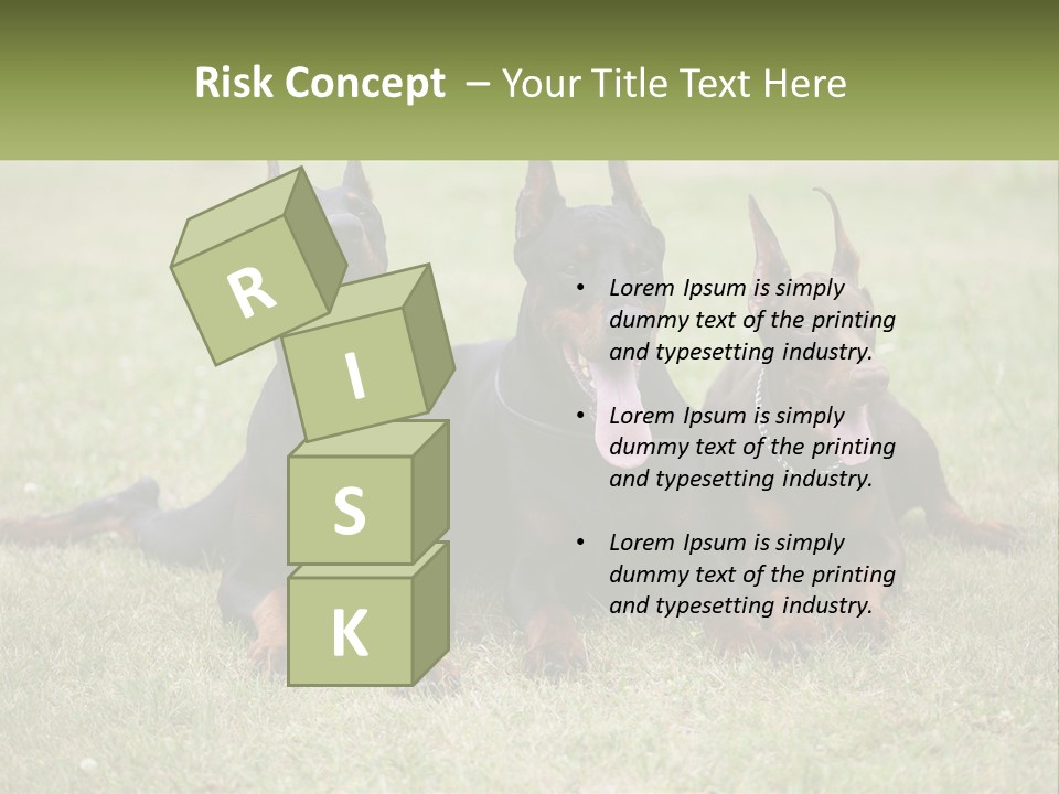 A Group Of Three Dogs Laying On Top Of A Grass Covered Field PowerPoint Template