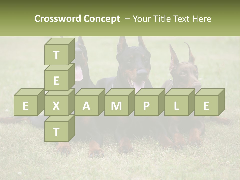 A Group Of Three Dogs Laying On Top Of A Grass Covered Field PowerPoint Template
