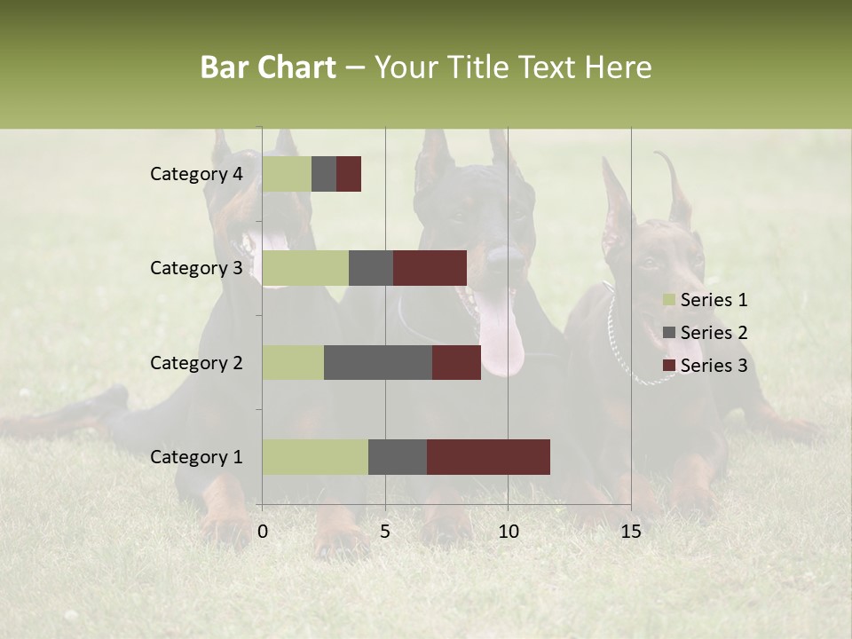 A Group Of Three Dogs Laying On Top Of A Grass Covered Field PowerPoint Template