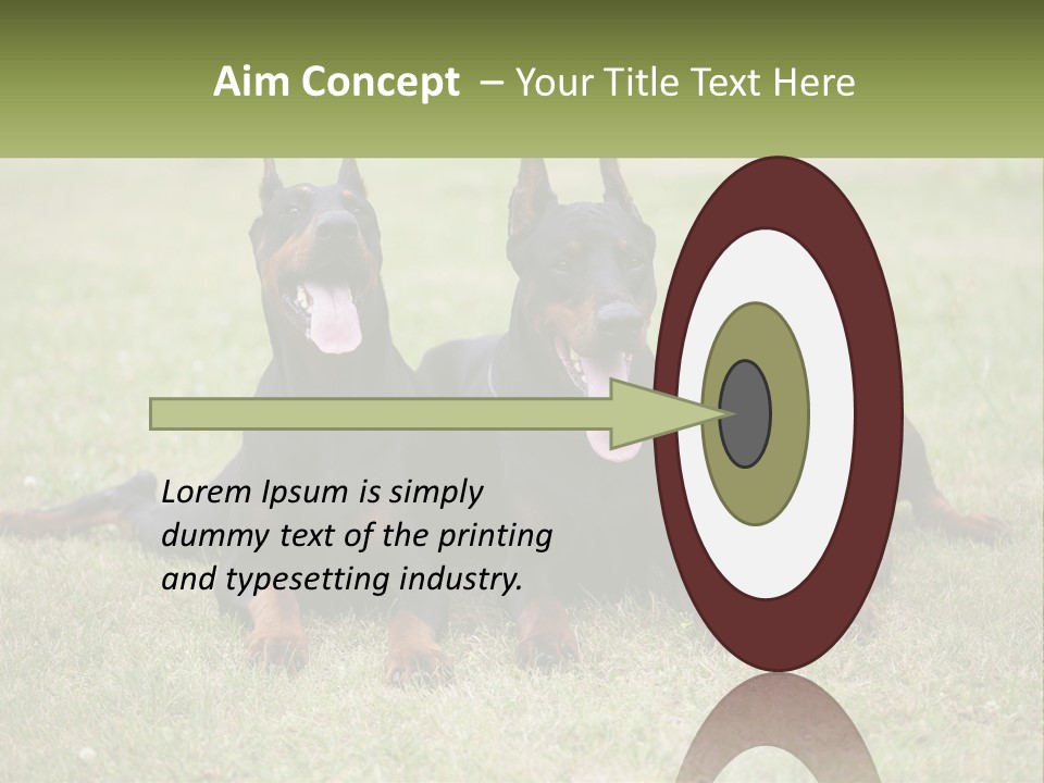 A Group Of Three Dogs Laying On Top Of A Grass Covered Field PowerPoint Template