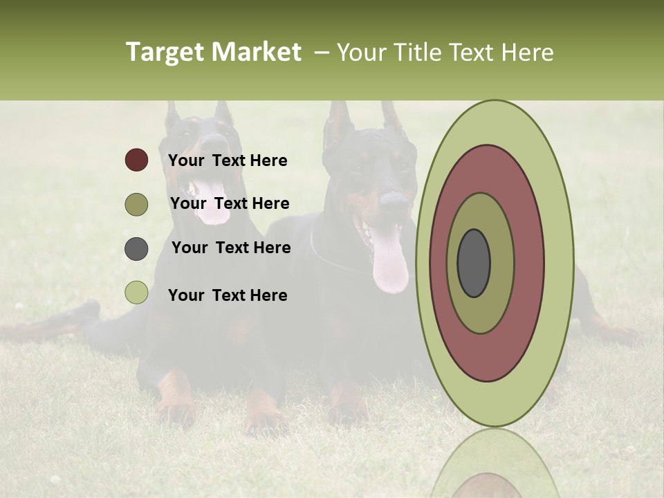 A Group Of Three Dogs Laying On Top Of A Grass Covered Field PowerPoint Template