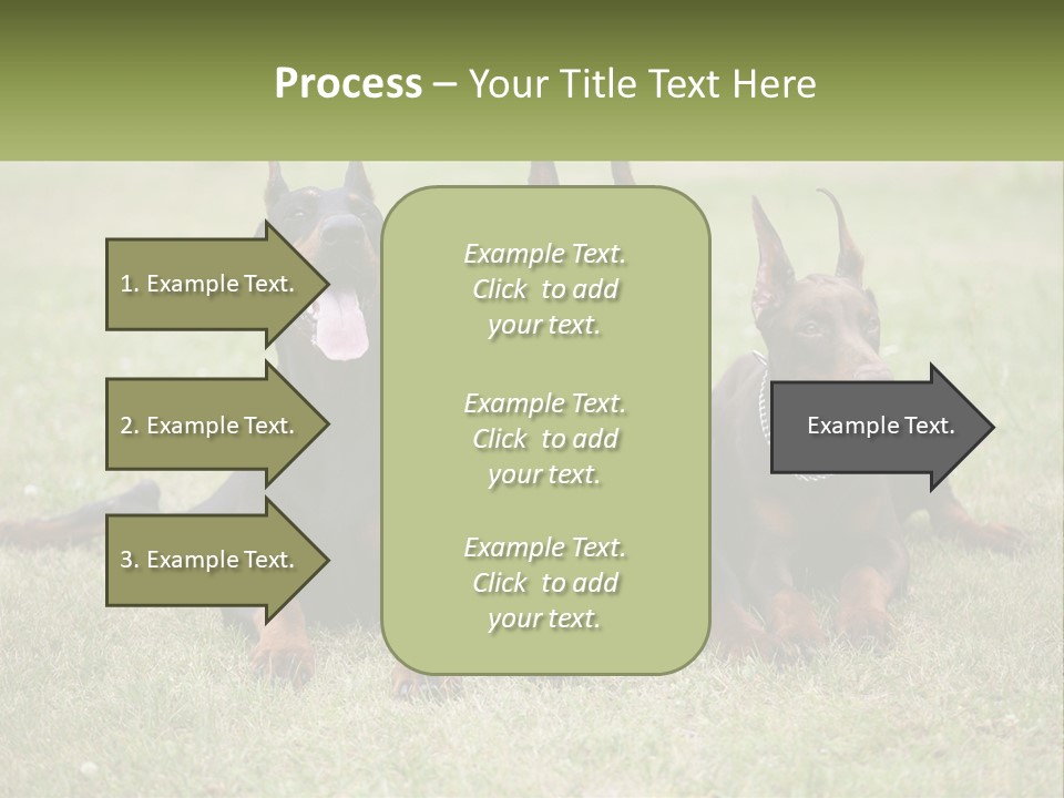 A Group Of Three Dogs Laying On Top Of A Grass Covered Field PowerPoint Template