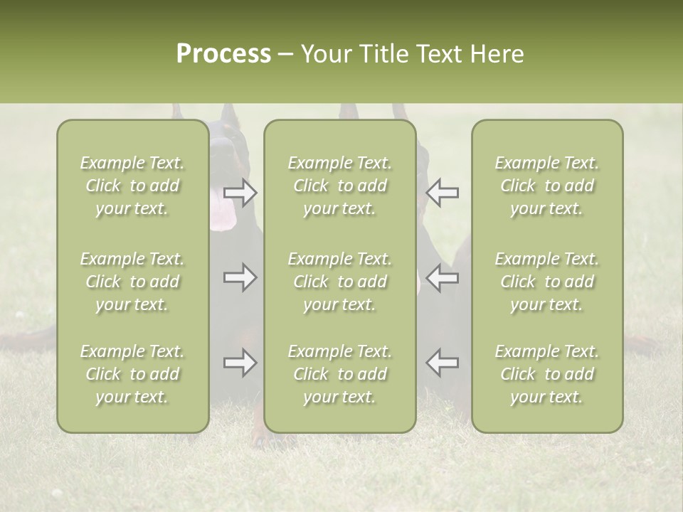 A Group Of Three Dogs Laying On Top Of A Grass Covered Field PowerPoint Template