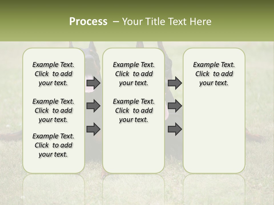 A Group Of Three Dogs Laying On Top Of A Grass Covered Field PowerPoint Template