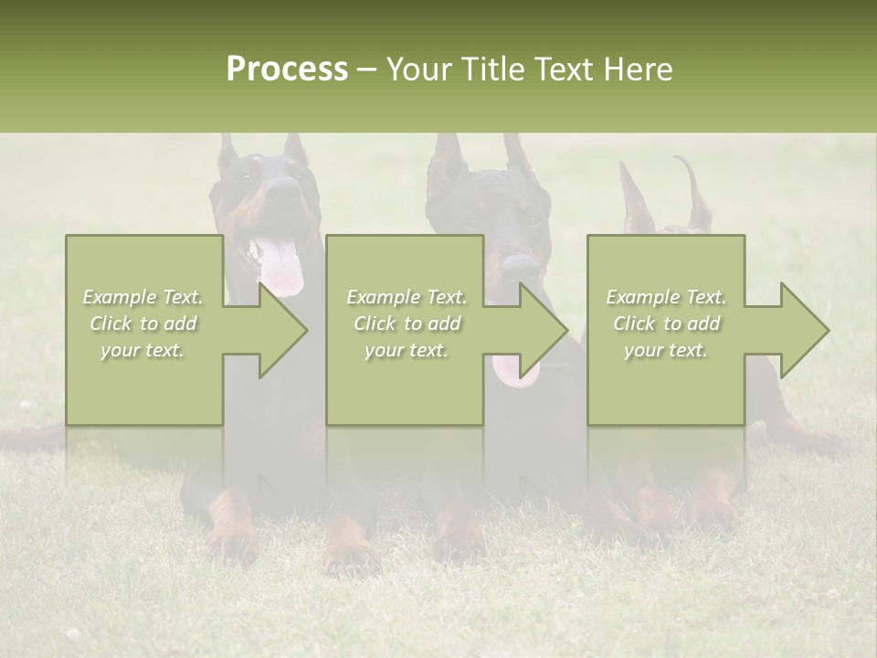 A Group Of Three Dogs Laying On Top Of A Grass Covered Field PowerPoint Template