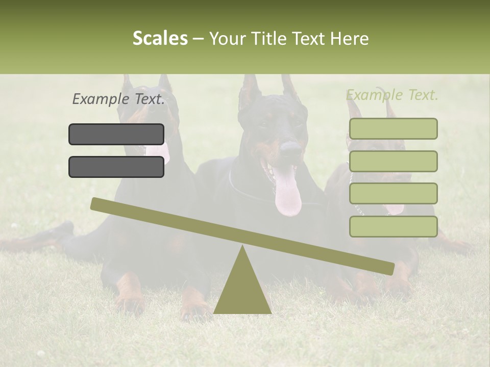 A Group Of Three Dogs Laying On Top Of A Grass Covered Field PowerPoint Template