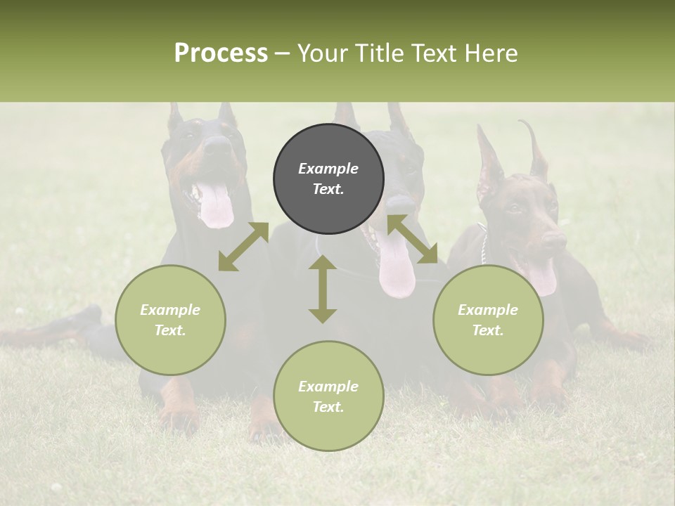 A Group Of Three Dogs Laying On Top Of A Grass Covered Field PowerPoint Template