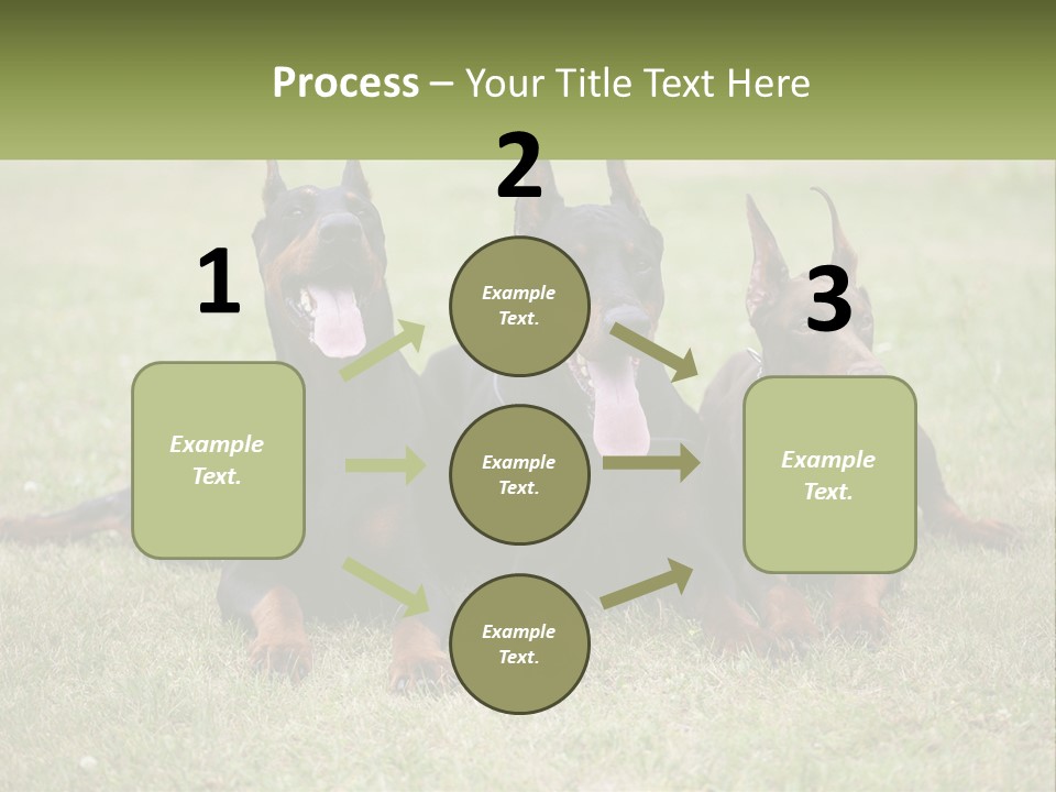 A Group Of Three Dogs Laying On Top Of A Grass Covered Field PowerPoint Template