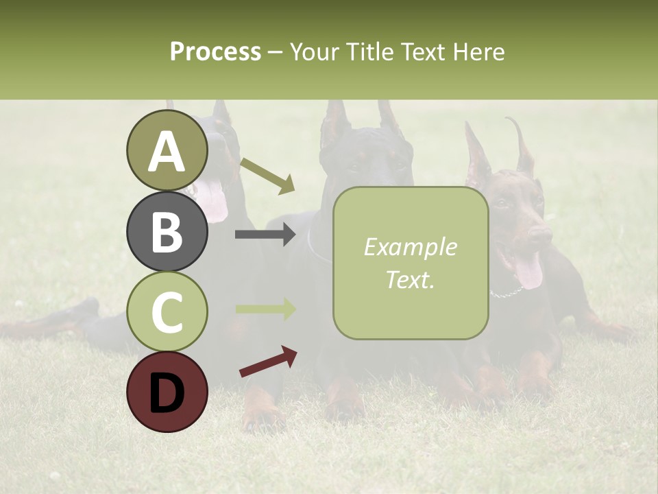 A Group Of Three Dogs Laying On Top Of A Grass Covered Field PowerPoint Template