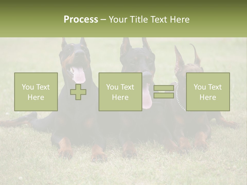 A Group Of Three Dogs Laying On Top Of A Grass Covered Field PowerPoint Template