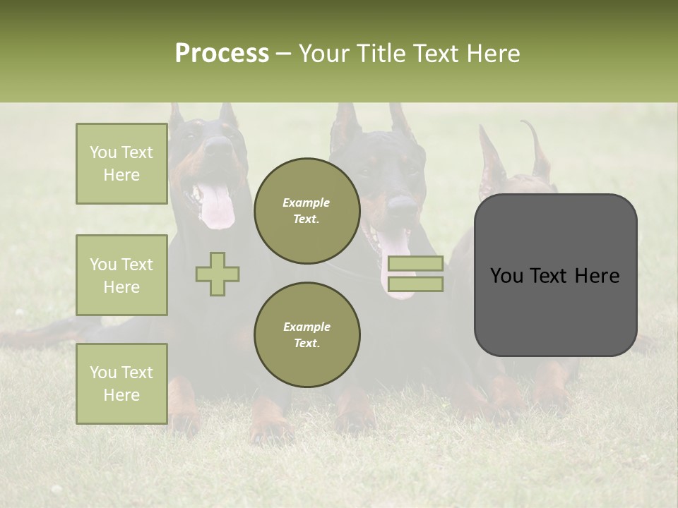 A Group Of Three Dogs Laying On Top Of A Grass Covered Field PowerPoint Template