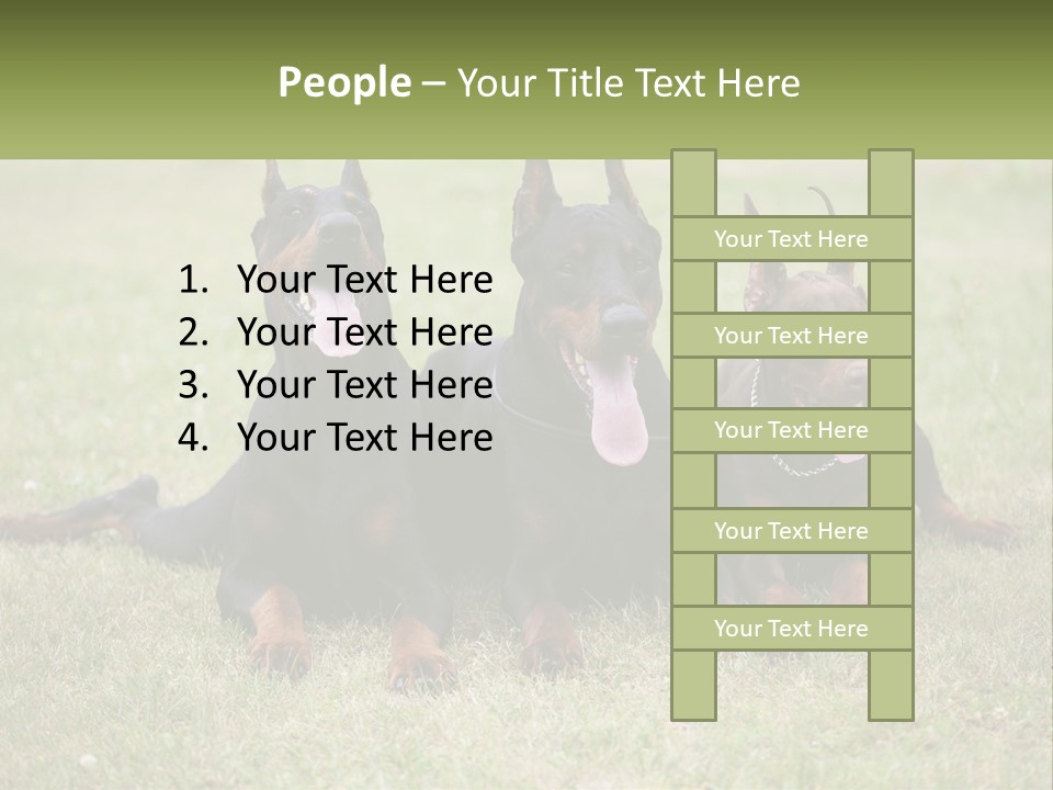 A Group Of Three Dogs Laying On Top Of A Grass Covered Field PowerPoint Template