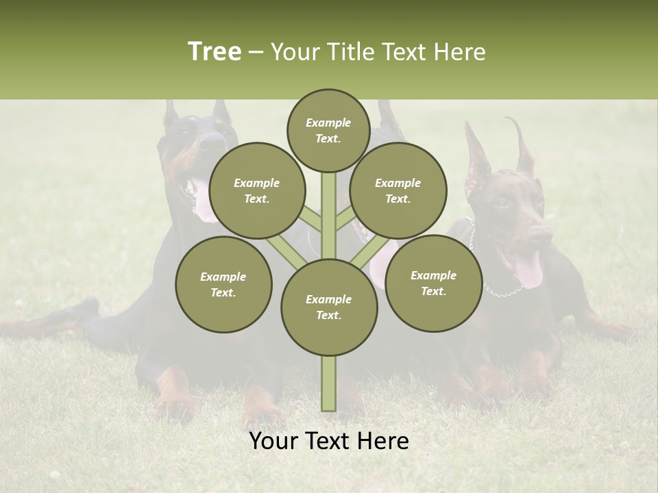 A Group Of Three Dogs Laying On Top Of A Grass Covered Field PowerPoint Template