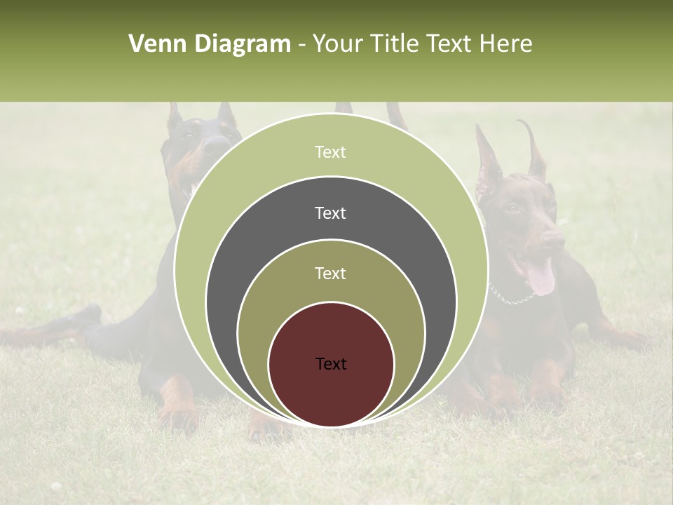 A Group Of Three Dogs Laying On Top Of A Grass Covered Field PowerPoint Template