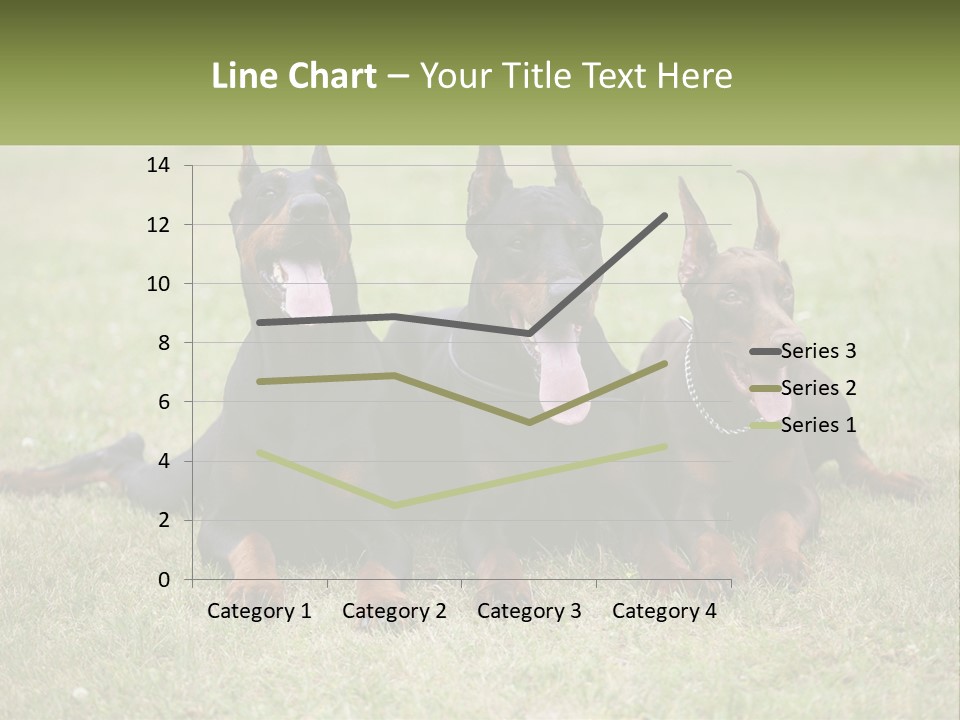 A Group Of Three Dogs Laying On Top Of A Grass Covered Field PowerPoint Template