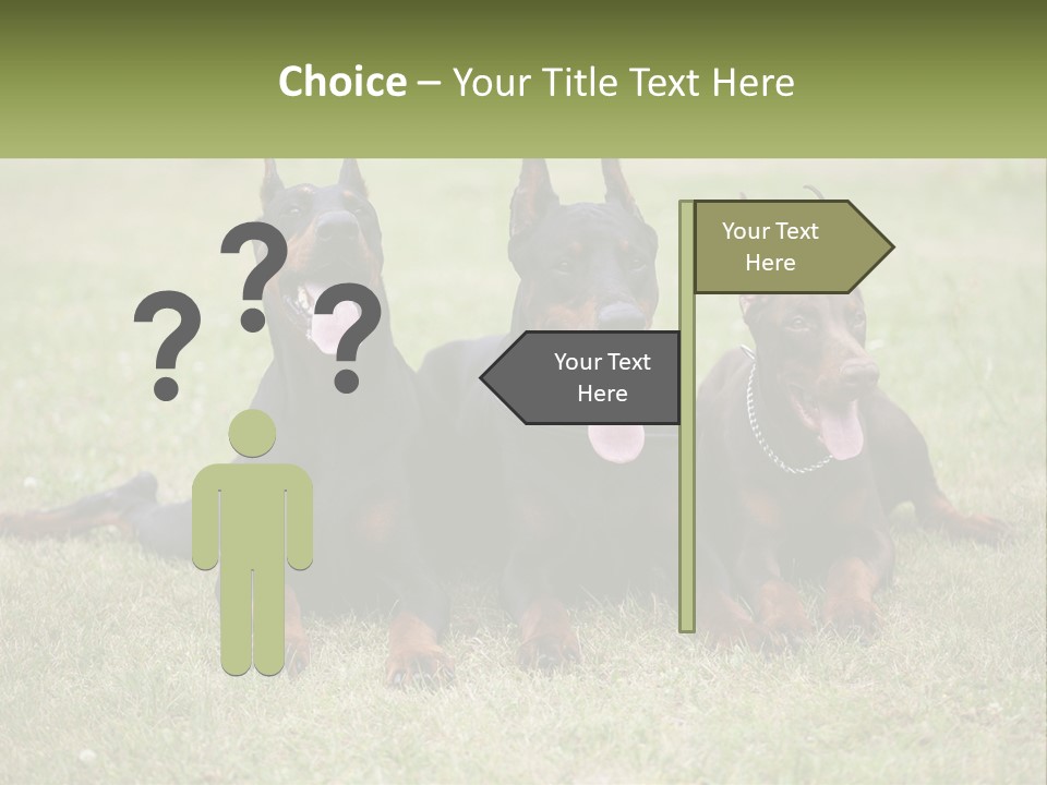 A Group Of Three Dogs Laying On Top Of A Grass Covered Field PowerPoint Template