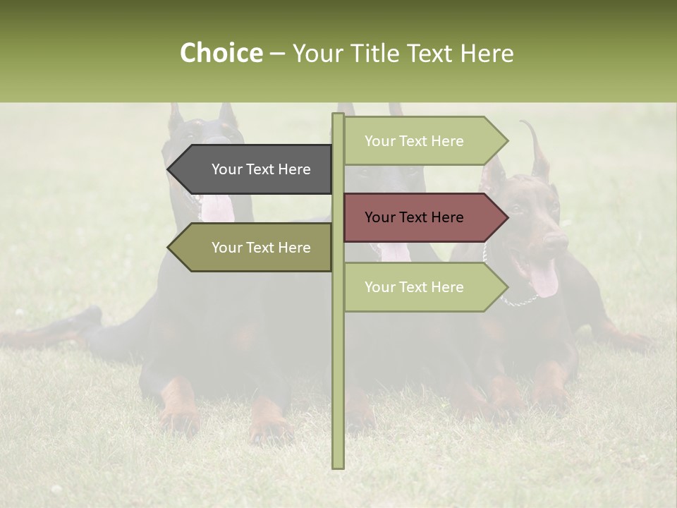 A Group Of Three Dogs Laying On Top Of A Grass Covered Field PowerPoint Template