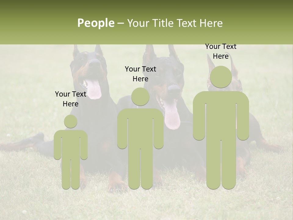 A Group Of Three Dogs Laying On Top Of A Grass Covered Field PowerPoint Template