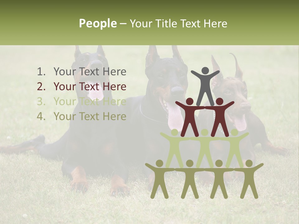 A Group Of Three Dogs Laying On Top Of A Grass Covered Field PowerPoint Template