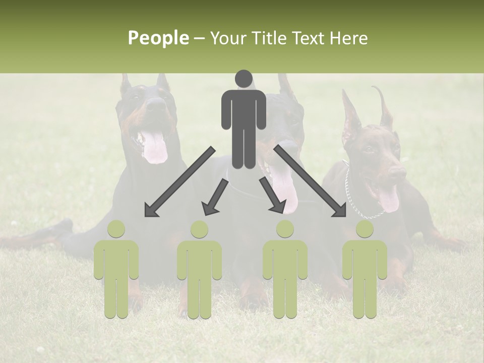A Group Of Three Dogs Laying On Top Of A Grass Covered Field PowerPoint Template